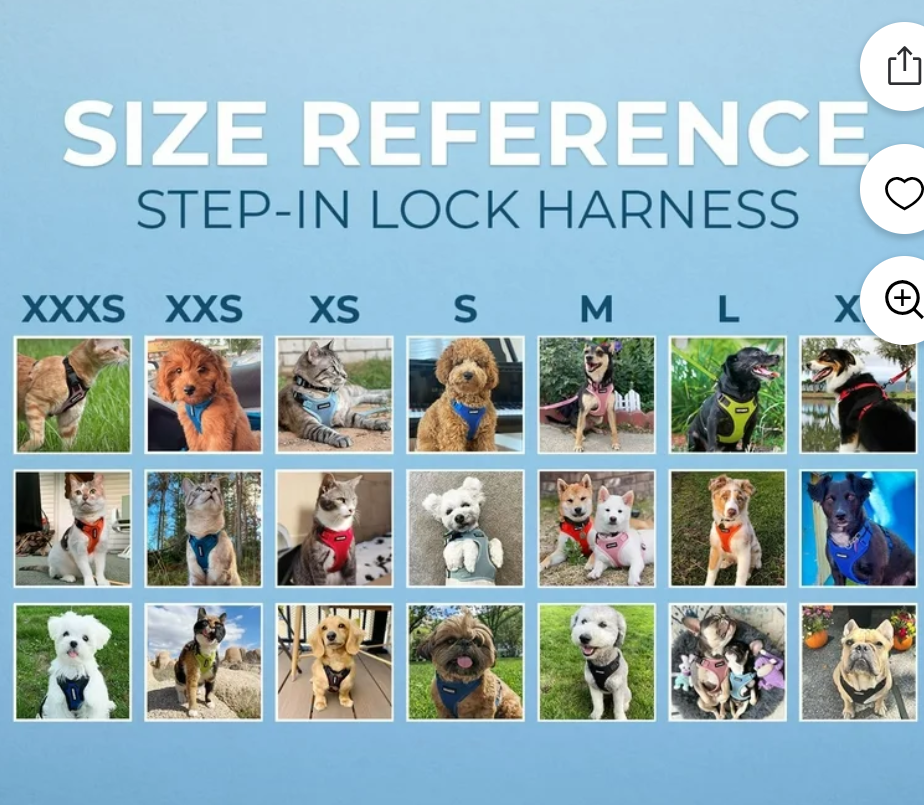 Voyager Step-In Lock Cat Harness and Matching Leash- Adjustable Step-In Vest Harness for Small and Large Cats by Best Pet Supplies