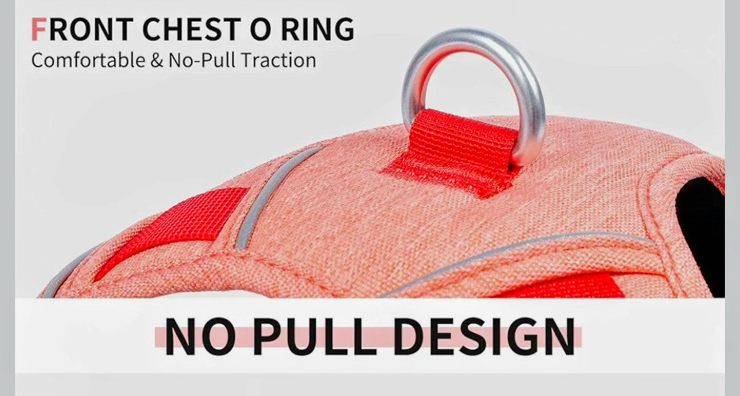 VOXOR Hug Pets Dog Harness,No Pull Dog Harness Small & Medium Sized Dog, Adjustable Soft Padded Dog Vest Harness,Dog Harness with Handle, (Neck:11.0"-16.1", Chest:16.5"-22.4") XS - Dopamine Red