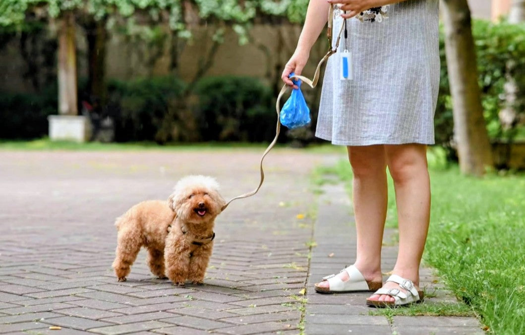 Dispenser for Dog Poop Waste Bags with 1 Roll of Bags