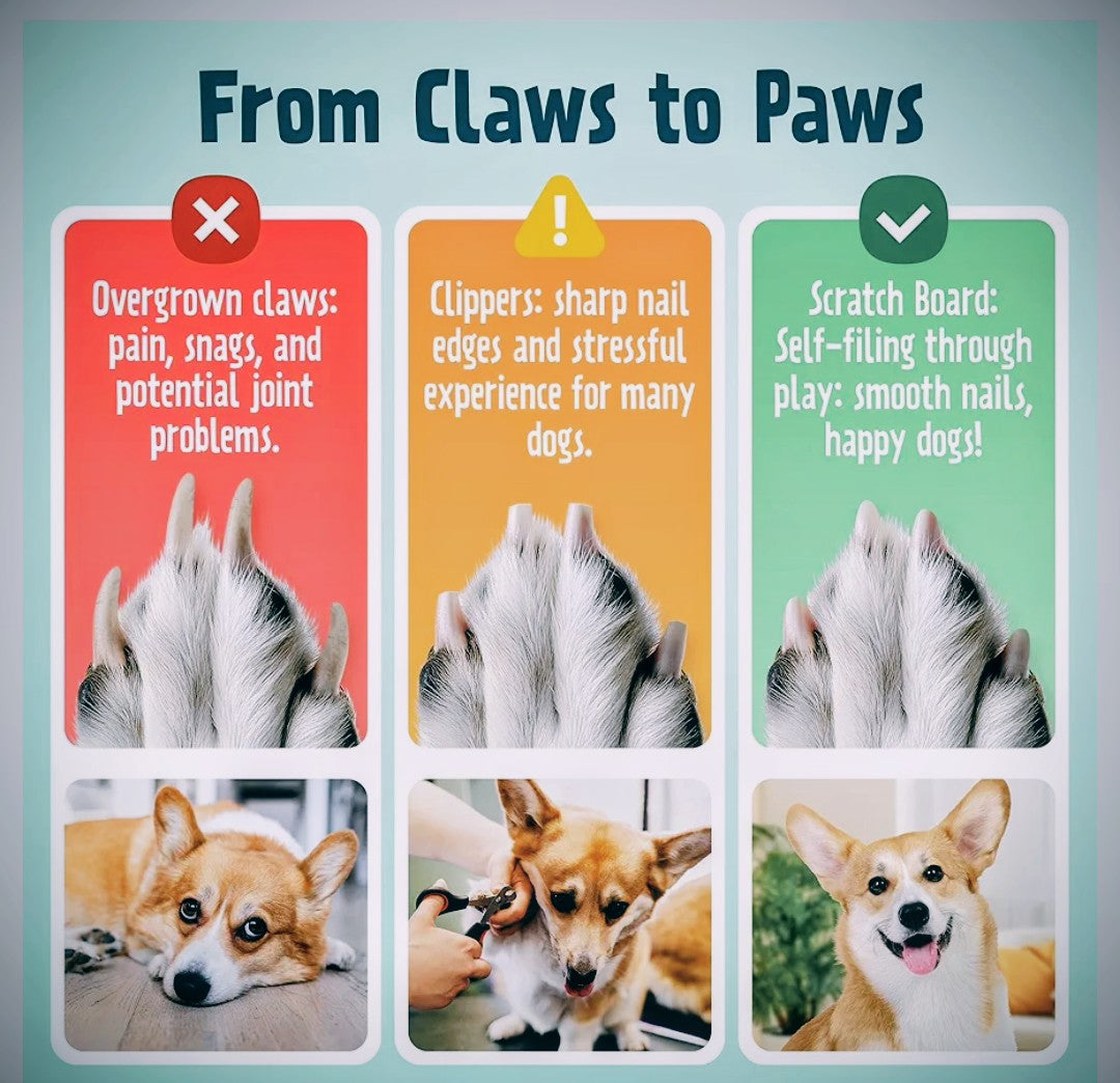 Dog Scratch Pad for Nails with Treat Box - Black