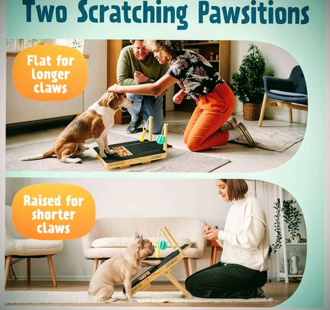 Dog Scratch Pad for Nails with Treat Box - Black