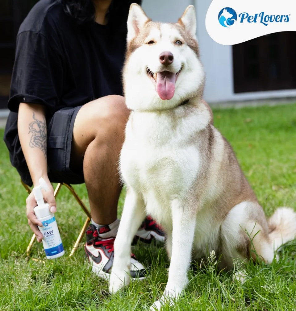 PetLovers No-Rinse Dog & Cat Paw Cleaner - Waterless Foaming Cleanser with Silicone Brush - Gentle, Natural Unscented Deep Cleaning & Moisturizing Paw Cleaner for Dogs - Helps with Dryness & Cracking