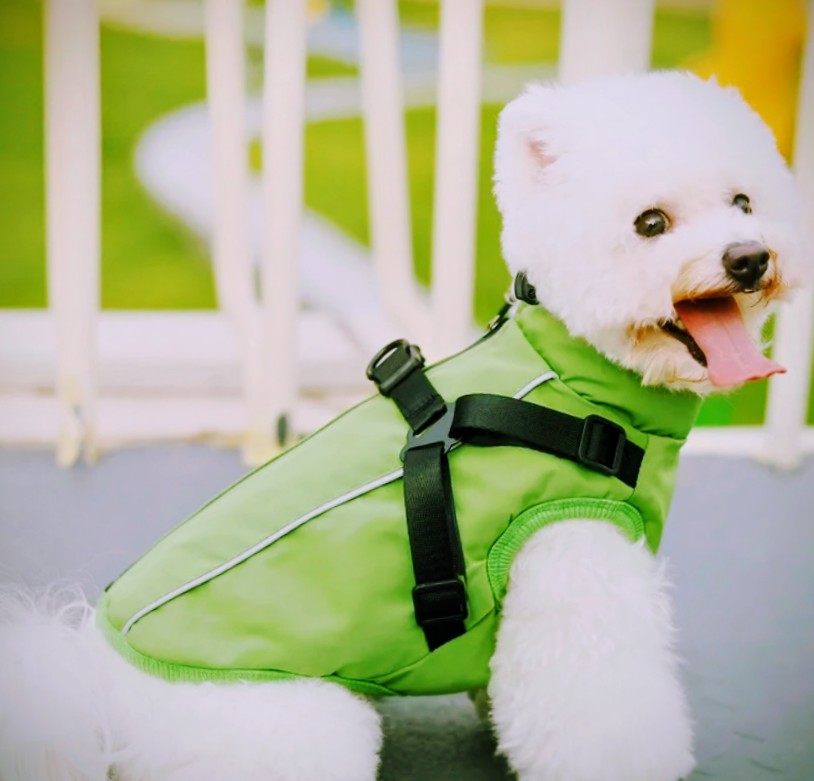 PcEoTllar Dog Jackets Waterproof for Winter, Reflective Dog Jacket with Harness for Small Dogs Puppy Warm Jacket Dog Sweater Dog Jacket Windproof Cold Weather Green S