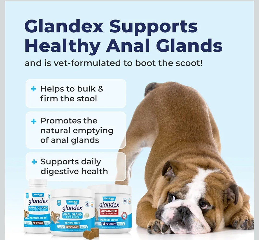 Vetnique Labs Glandex Anal Gland Soft Chew Treats with Pumpkin for Dogs Digestive Enzymes, Probiotics Fiber Supplement for Dogs Boot The Scoot (Pork Liver Chews, 60 Count)