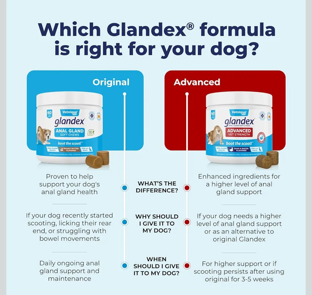 Vetnique Labs Glandex Anal Gland Soft Chew Treats with Pumpkin for Dogs Digestive Enzymes, Probiotics Fiber Supplement for Dogs Boot The Scoot (Pork Liver Chews, 60 Count)