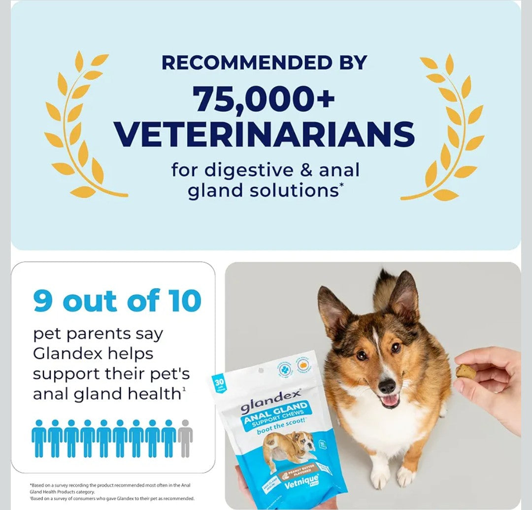 Vetnique Labs Glandex Anal Gland Soft Chew Treats with Pumpkin for Dogs Digestive Enzymes, Probiotics Fiber Supplement for Dogs Boot The Scoot (Pork Liver Chews, 60 Count)