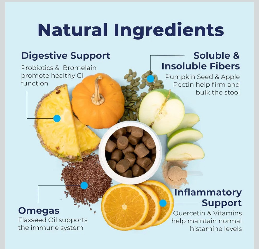 Vetnique Labs Glandex Anal Gland Soft Chew Treats with Pumpkin for Dogs Digestive Enzymes, Probiotics Fiber Supplement for Dogs Boot The Scoot (Pork Liver Chews, 60 Count)