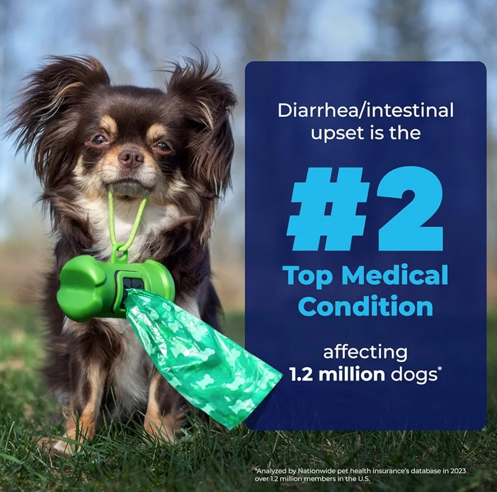 Vetnique Labs Glandex Anal Gland Soft Chew Treats with Pumpkin for Dogs Digestive Enzymes, Probiotics Fiber Supplement for Dogs Boot The Scoot (Pork Liver Chews, 60 Count)