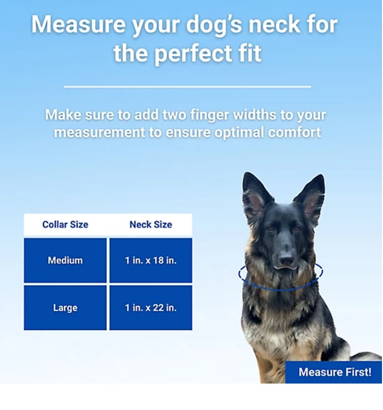 Retriever Adjustable Camo Leather Fashion Dog Collar