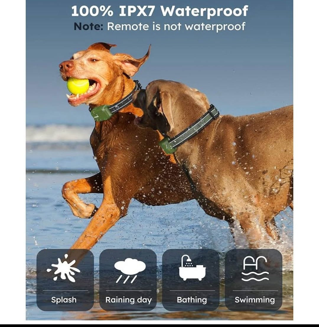 Jugbow DT-612 Remote Training Collar for Two Dogs, a dog training collar system designed for training two dogs simultaneously.