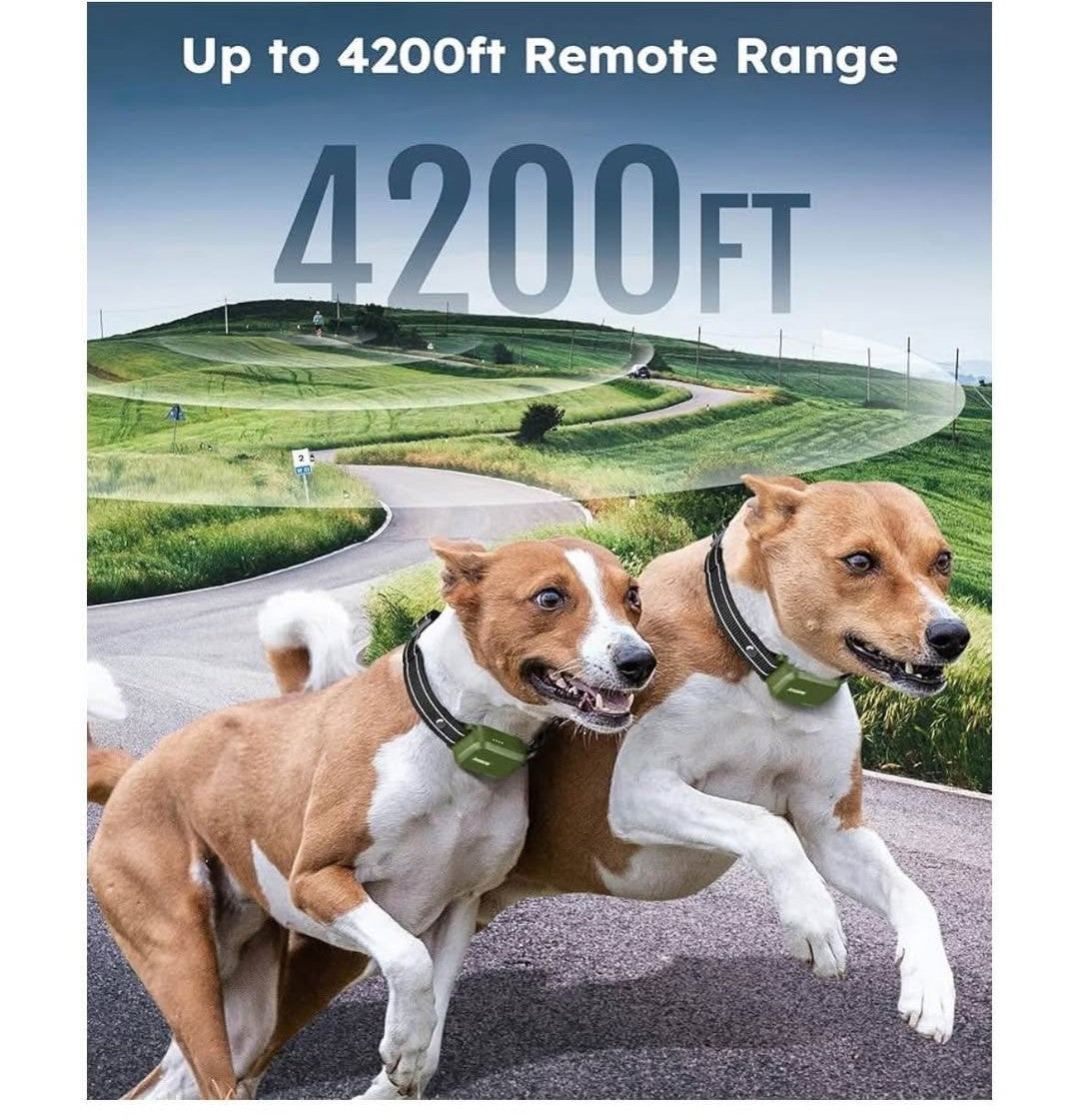 Jugbow DT-612 Remote Training Collar for Two Dogs, a dog training collar system designed for training two dogs simultaneously.