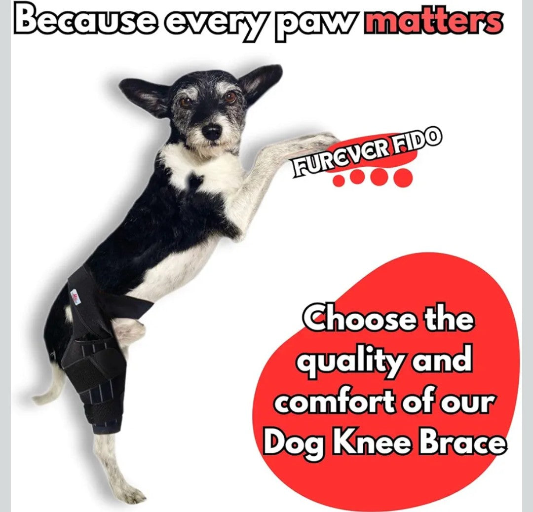 FUREVER FIDO Dog Knee Brace, Hip Displaysia Dog Support Brace, Dog ACL Brace Hind Leg, Dog ACL Knee Brace, Dog Knee Brace for Luxating Patella, ACL Brace for Dogs Rear Leg, Relieves Arthritis Pain LARGE LEFT