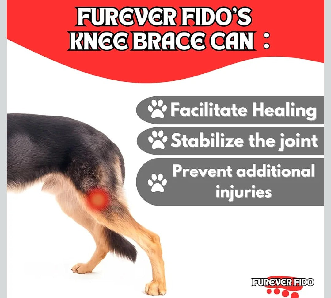 FUREVER FIDO Dog Knee Brace, Hip Displaysia Dog Support Brace, Dog ACL Brace Hind Leg, Dog ACL Knee Brace, Dog Knee Brace for Luxating Patella, ACL Brace for Dogs Rear Leg, Relieves Arthritis Pain LARGE LEFT