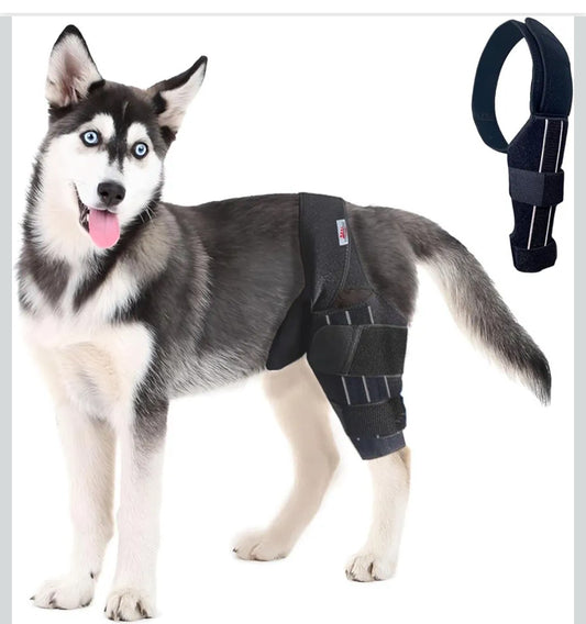 FUREVER FIDO Dog Knee Brace, Hip Displaysia Dog Support Brace, Dog ACL Brace Hind Leg, Dog ACL Knee Brace, Dog Knee Brace for Luxating Patella, ACL Brace for Dogs Rear Leg, Relieves Arthritis Pain LARGE LEFT