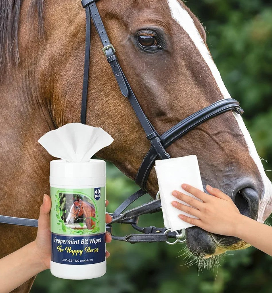 Horse Bit Cleaning Wipes