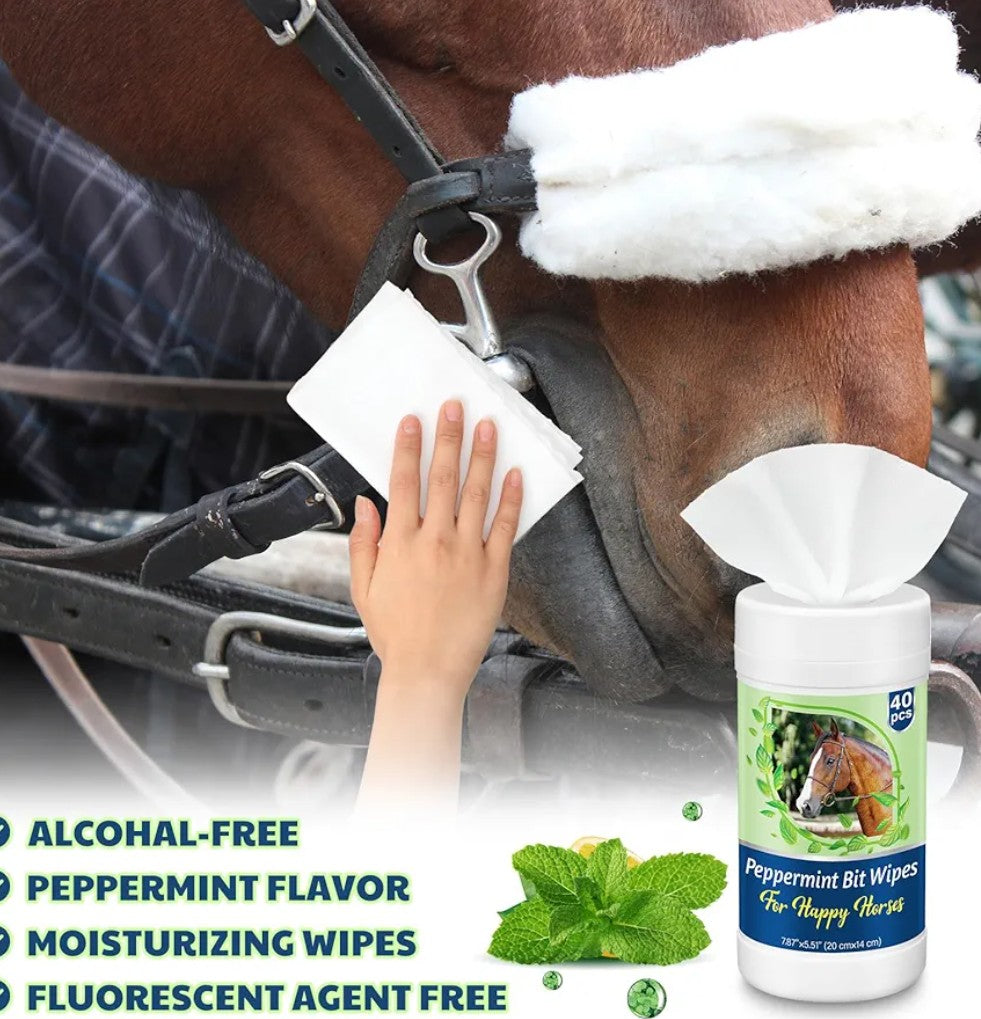 Horse Bit Cleaning Wipes