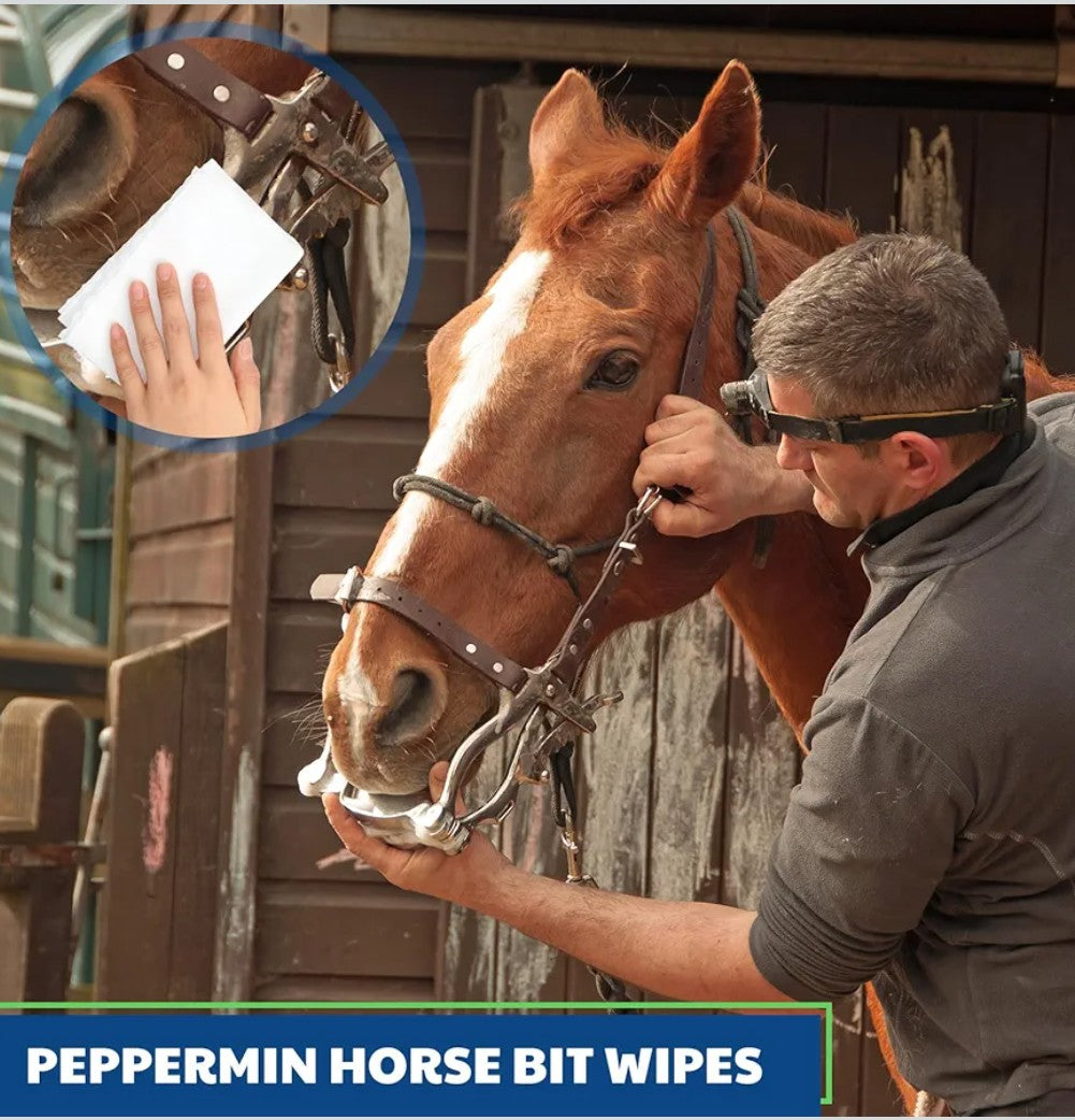 Horse Bit Cleaning Wipes