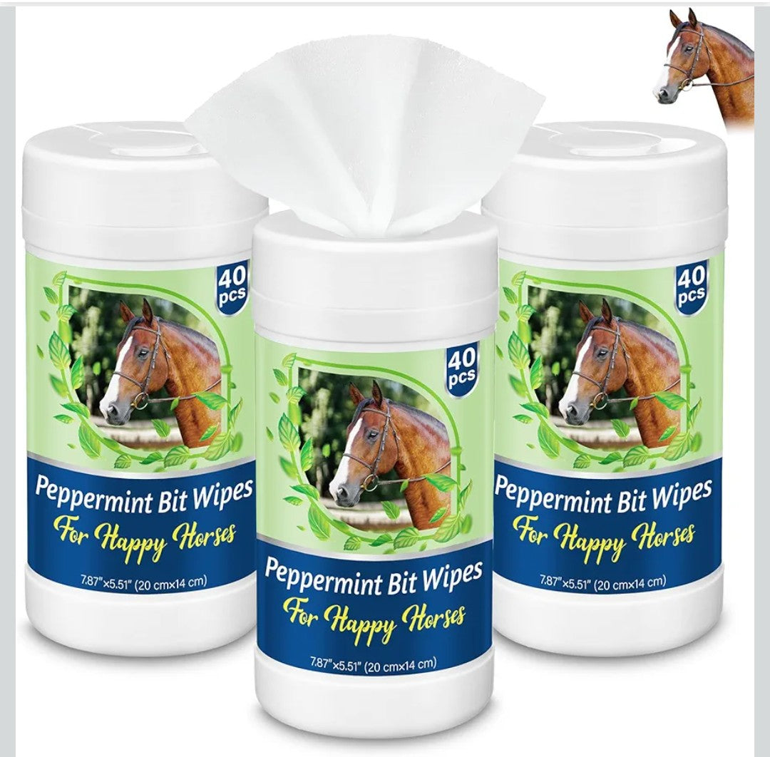 Horse Bit Cleaning Wipes