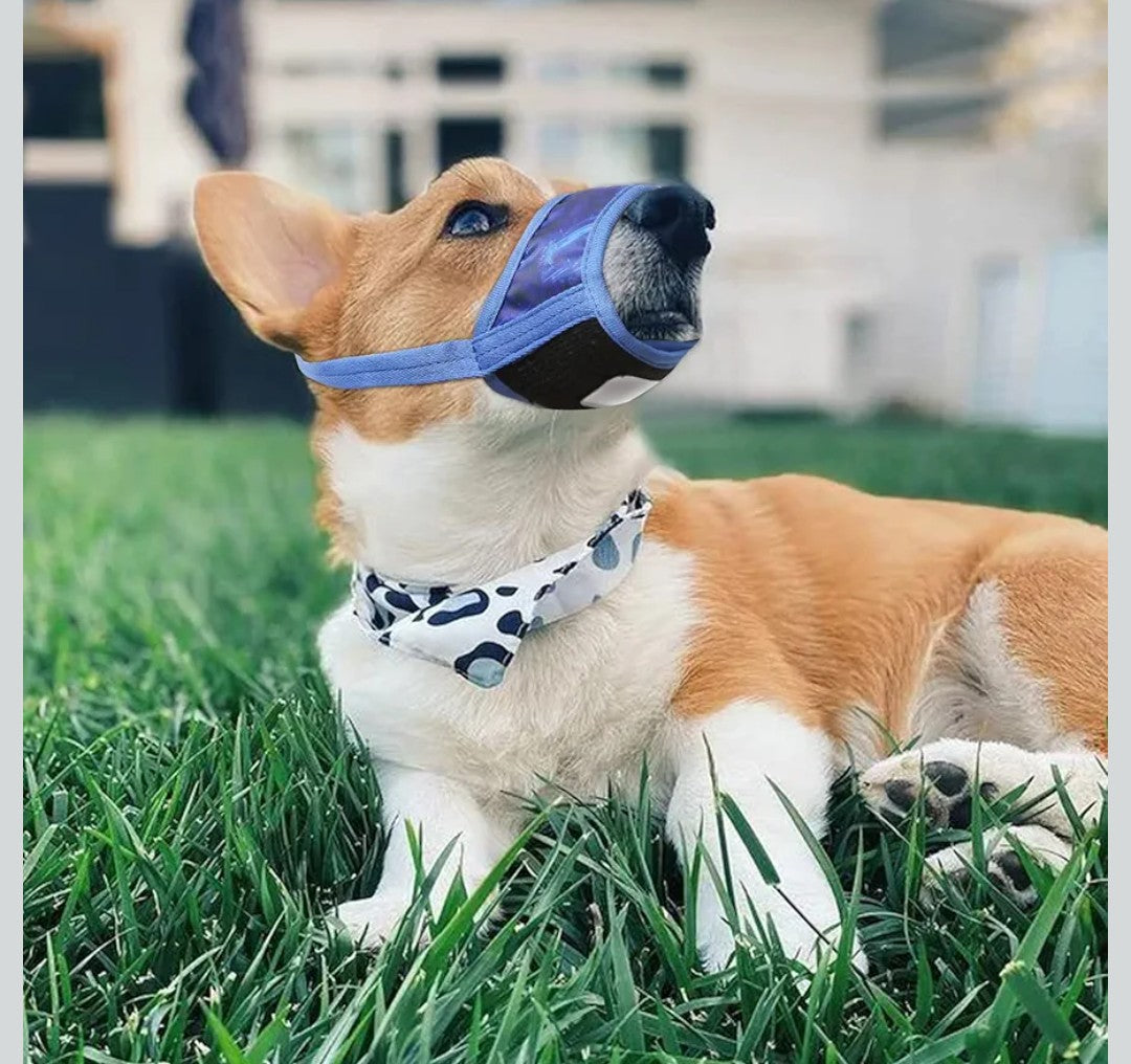 HEELE Dog Muzzle,Soft Nylon Muzzle Anti Biting Barking Chewing,Air Mesh Breathable Drinkable Adjustable Loop Pets Muzzle for Small Dogs(P-Sky Blue, S)