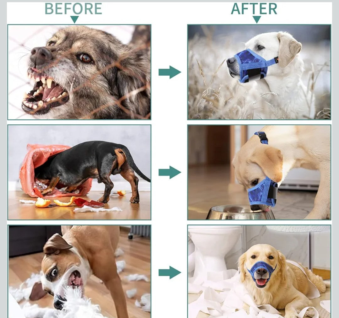 HEELE Dog Muzzle,Soft Nylon Muzzle Anti Biting Barking Chewing,Air Mesh Breathable Drinkable Adjustable Loop Pets Muzzle for Small Dogs(P-Sky Blue, S)