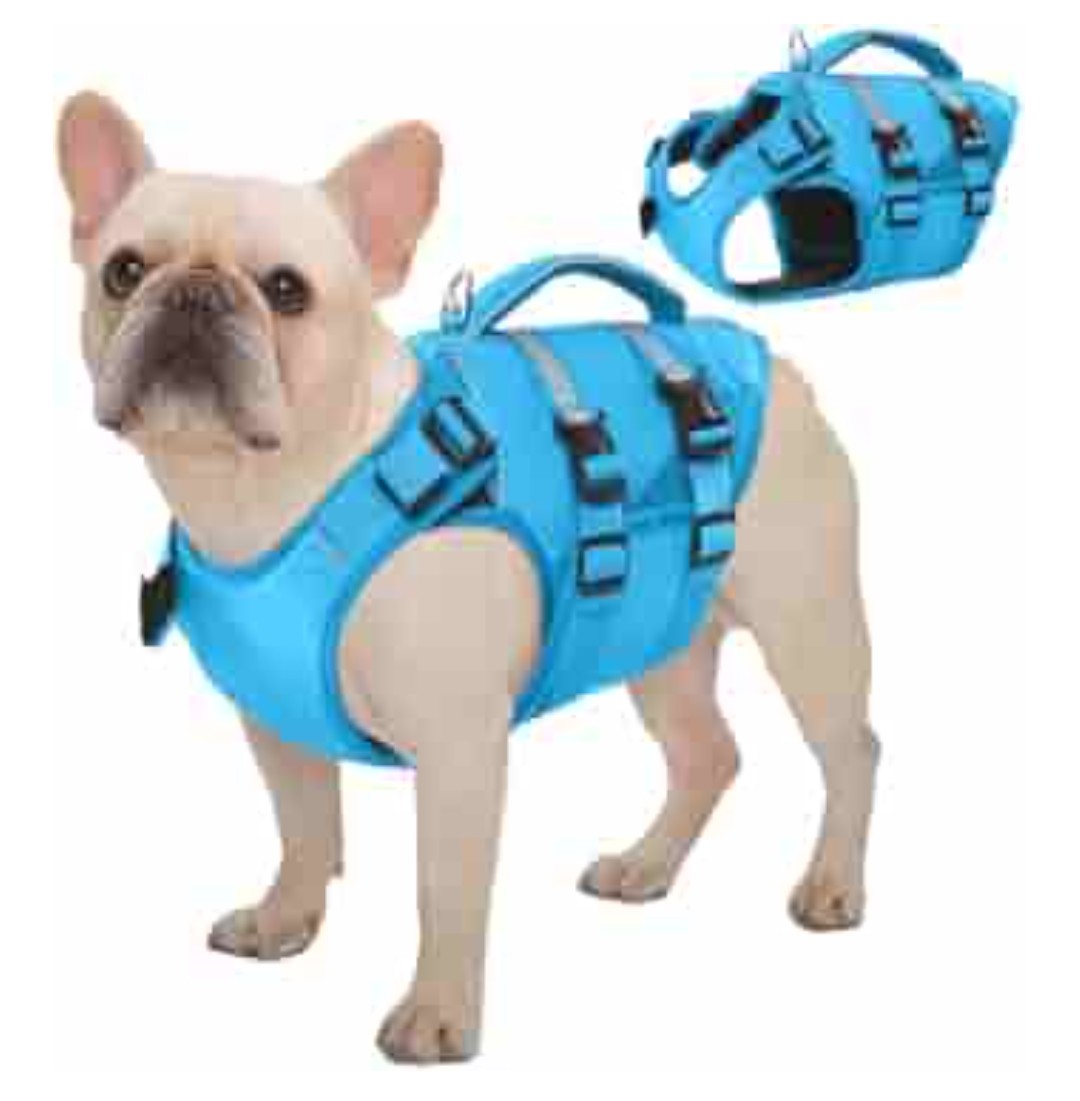 Kuoser Extra Small Life Jacket for Dogs, Life Jacket with Handle and Reflective, Adjustable Dog Life Jacket, Life Jacket for Small Dogs with Improved Buoyancy, Blue, XS