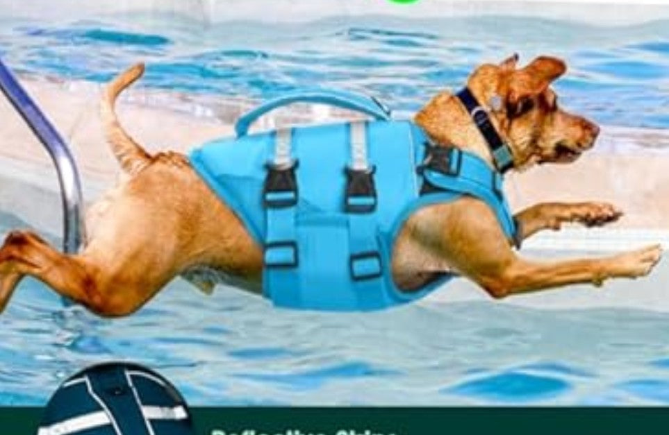 Kuoser Extra Small Life Jacket for Dogs, Life Jacket with Handle and Reflective, Adjustable Dog Life Jacket, Life Jacket for Small Dogs with Improved Buoyancy, Blue, XS