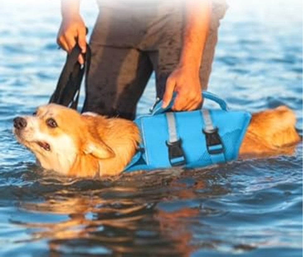 Kuoser Extra Small Life Jacket for Dogs, Life Jacket with Handle and Reflective, Adjustable Dog Life Jacket, Life Jacket for Small Dogs with Improved Buoyancy, Blue, XS