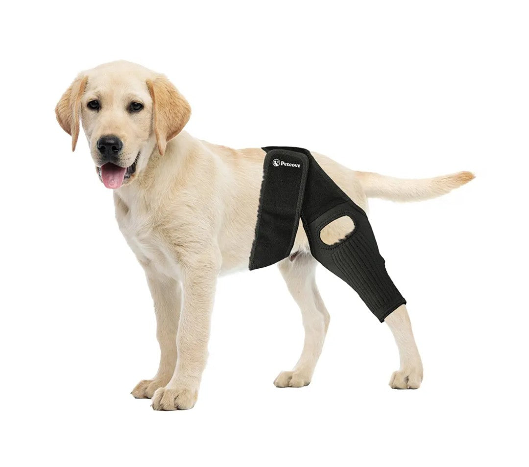 Dog Knee Brace, Size Small Dog Leg Brace, Dog Knee Brace for Torn Acl Hind Leg, Dog Leg Braces for Back Leg, Dog Acl Brace Hind Leg, Acl Brace for Dogs Rear Leg