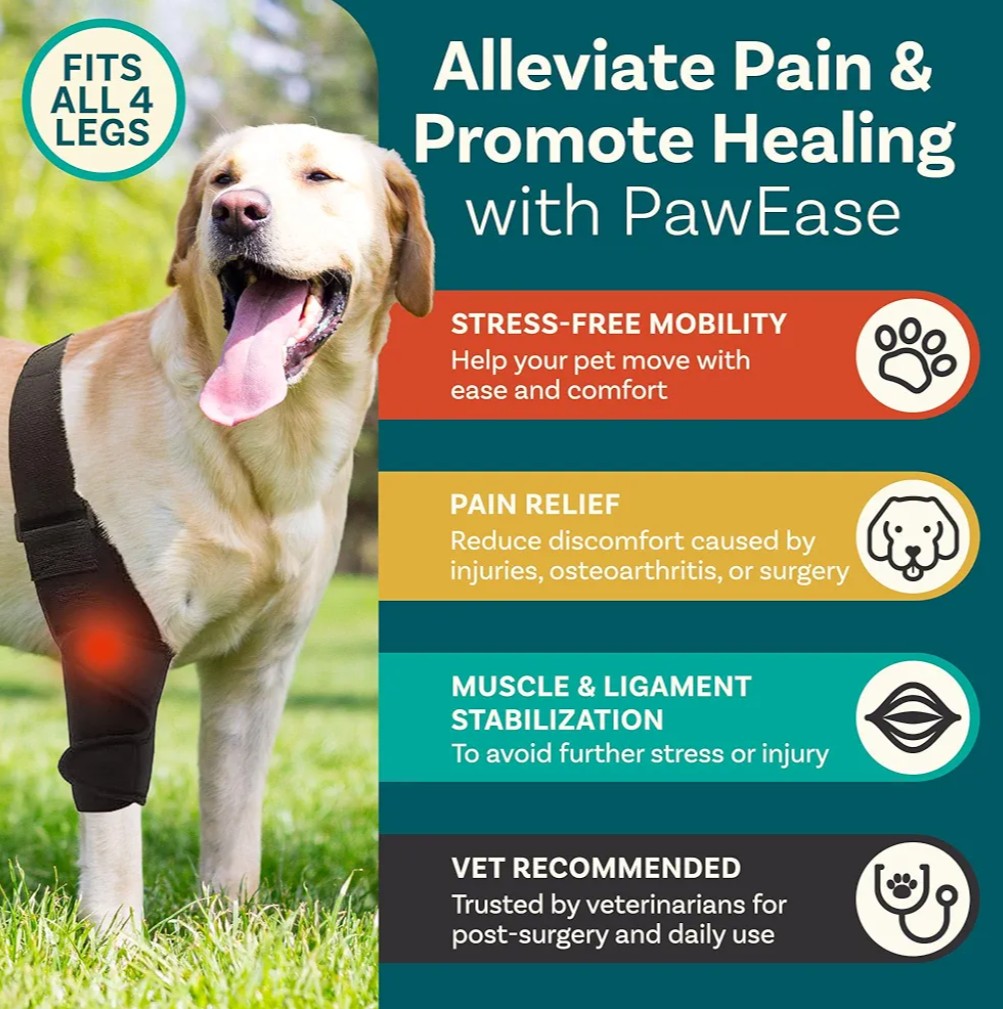 Dog Knee Brace, Size Small Dog Leg Brace, Dog Knee Brace for Torn Acl Hind Leg, Dog Leg Braces for Back Leg, Dog Acl Brace Hind Leg, Acl Brace for Dogs Rear Leg