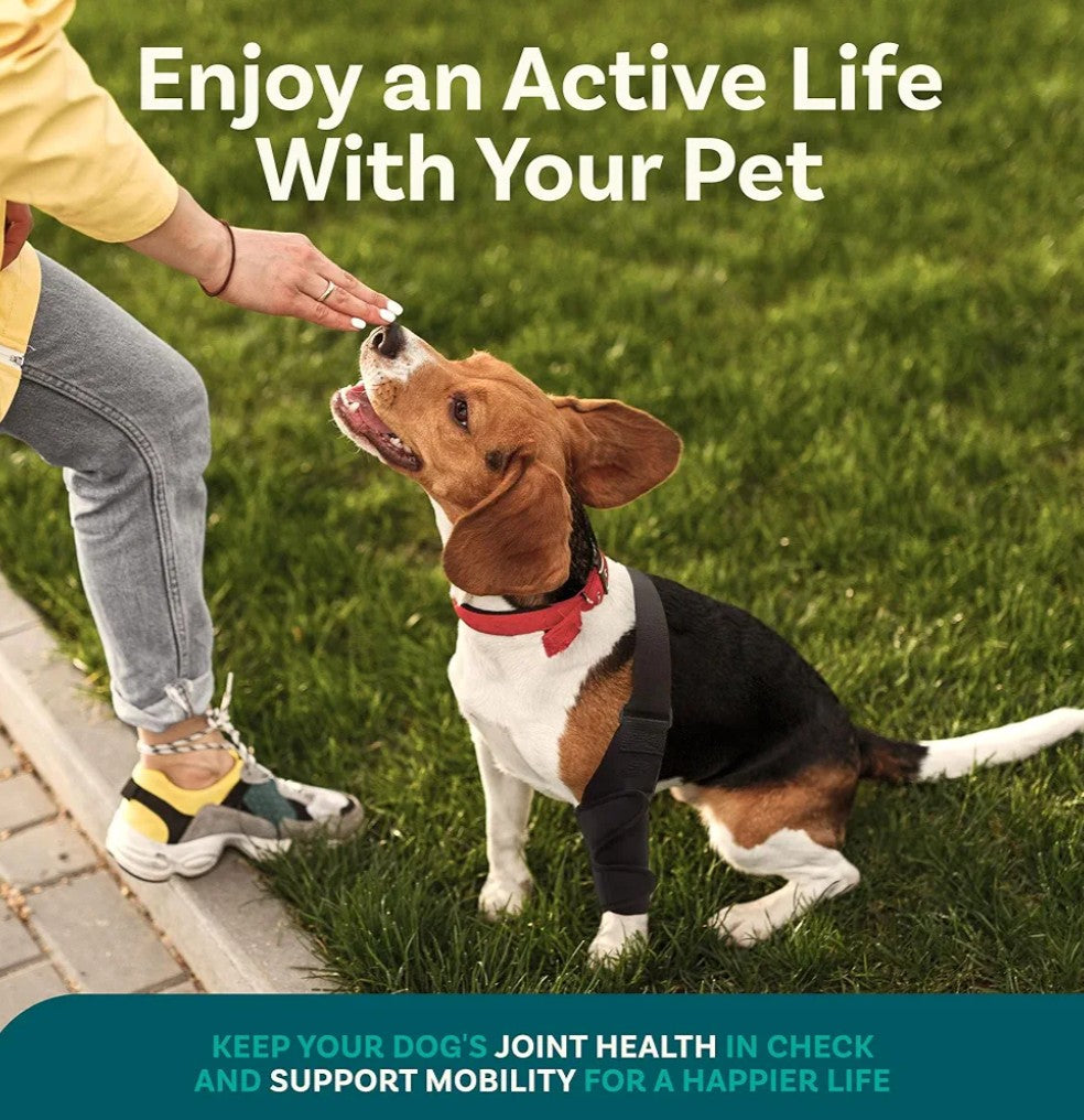 Dog Knee Brace, Size Small Dog Leg Brace, Dog Knee Brace for Torn Acl Hind Leg, Dog Leg Braces for Back Leg, Dog Acl Brace Hind Leg, Acl Brace for Dogs Rear Leg