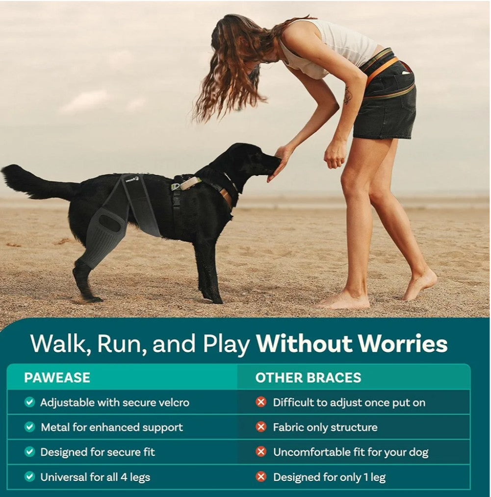 Dog Knee Brace, Size Small Dog Leg Brace, Dog Knee Brace for Torn Acl Hind Leg, Dog Leg Braces for Back Leg, Dog Acl Brace Hind Leg, Acl Brace for Dogs Rear Leg