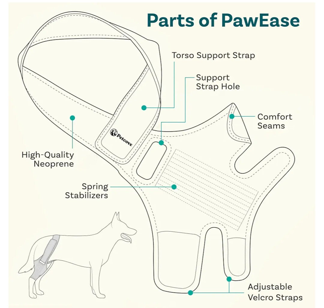 Dog Knee Brace, Size Small Dog Leg Brace, Dog Knee Brace for Torn Acl Hind Leg, Dog Leg Braces for Back Leg, Dog Acl Brace Hind Leg, Acl Brace for Dogs Rear Leg