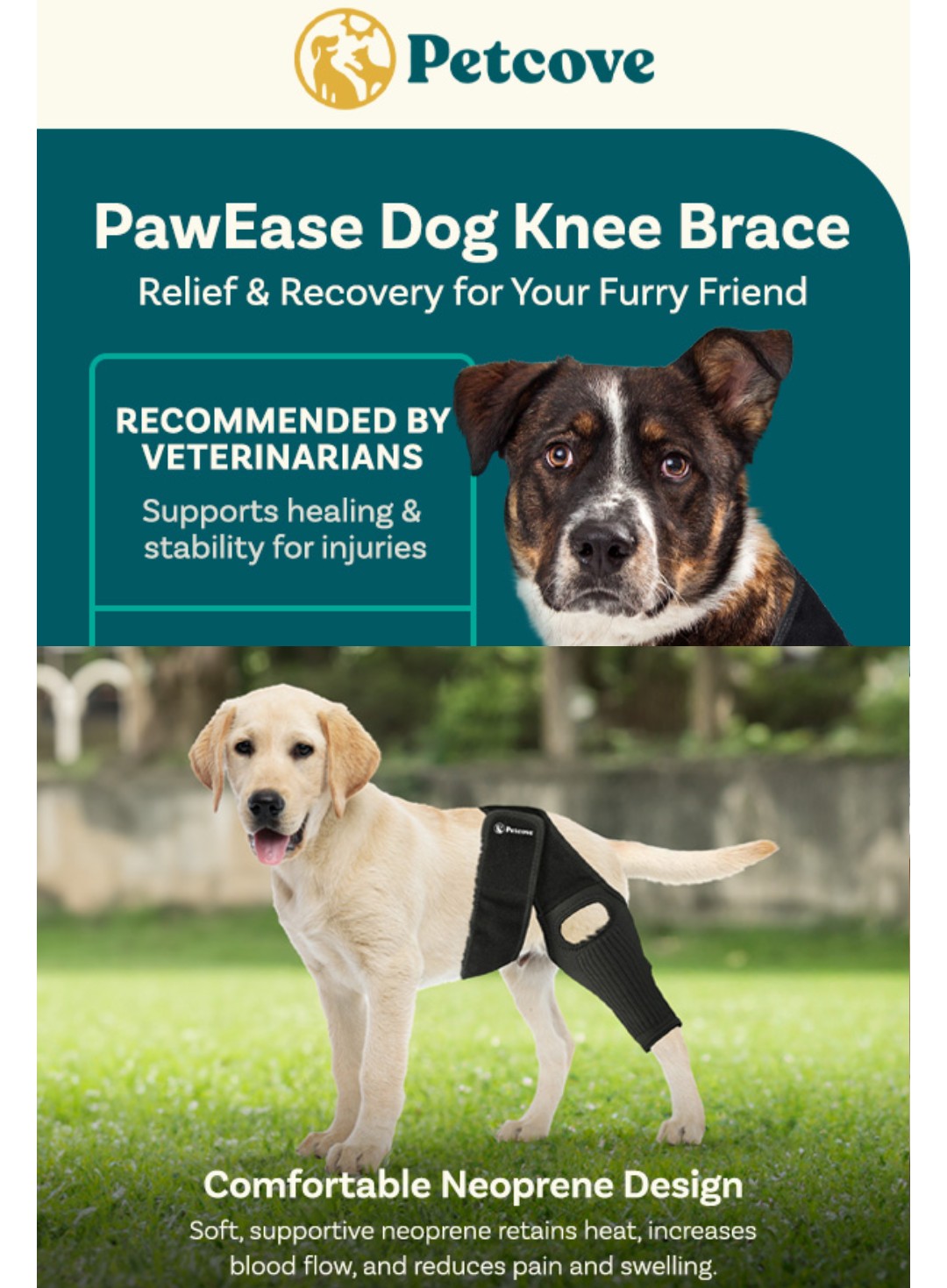 Dog Knee Brace, Size Small Dog Leg Brace, Dog Knee Brace for Torn Acl Hind Leg, Dog Leg Braces for Back Leg, Dog Acl Brace Hind Leg, Acl Brace for Dogs Rear Leg