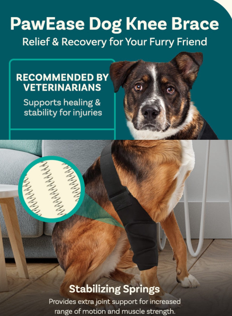 Dog Knee Brace, Size Small Dog Leg Brace, Dog Knee Brace for Torn Acl Hind Leg, Dog Leg Braces for Back Leg, Dog Acl Brace Hind Leg, Acl Brace for Dogs Rear Leg