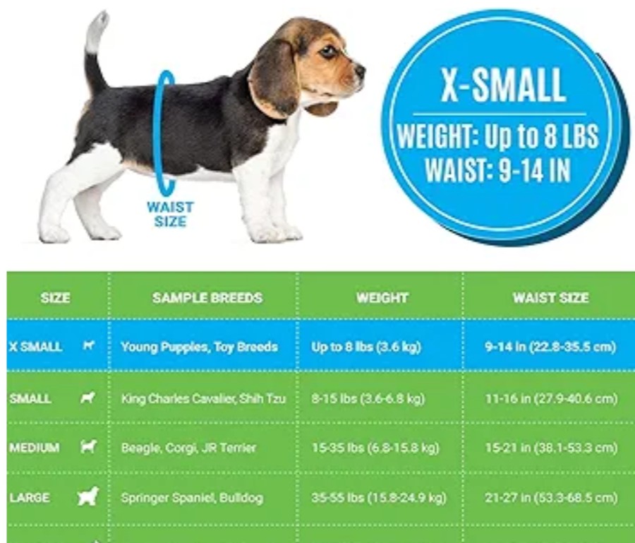 Bodhi Dog Disposable Male Dog Diapers - Super Absorbent, Leak-Proof Pee Wraps - Adjustable Fit, Comfortable Design, Advanced Moisture Control, and Wetness Indicator - Extra Small (20 Count)