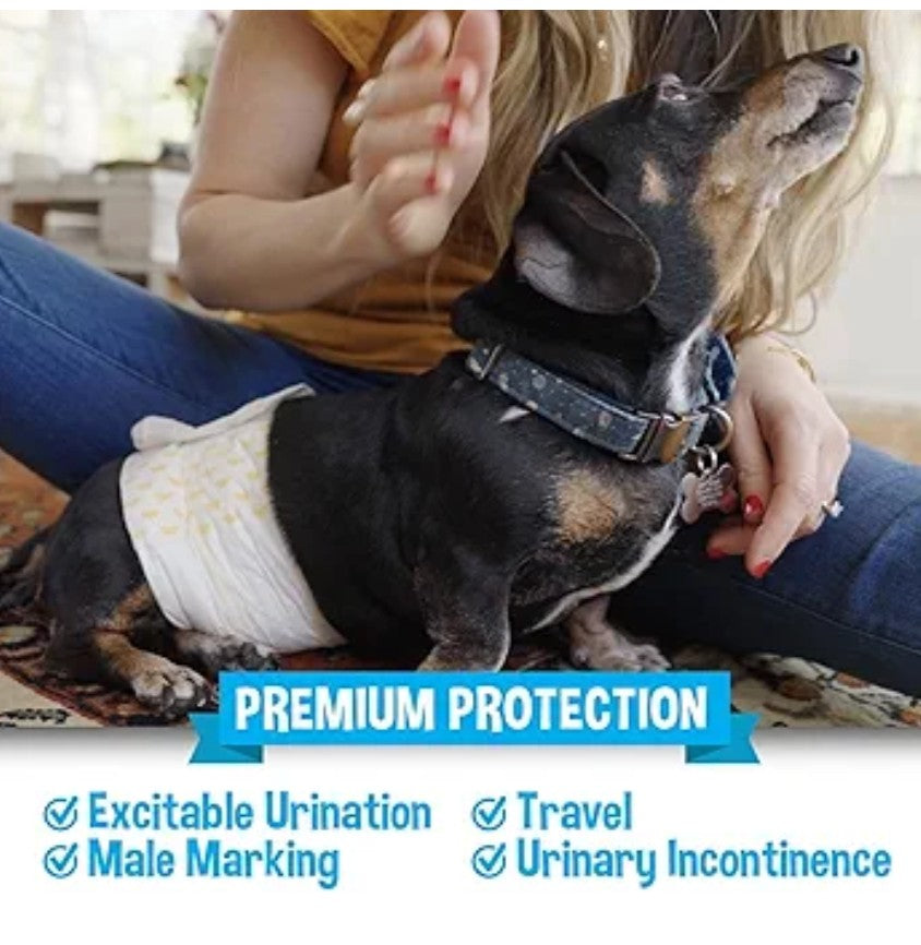 Bodhi Dog Disposable Male Dog Diapers - Super Absorbent, Leak-Proof Pee Wraps - Adjustable Fit, Comfortable Design, Advanced Moisture Control, and Wetness Indicator - Extra Small (20 Count)
