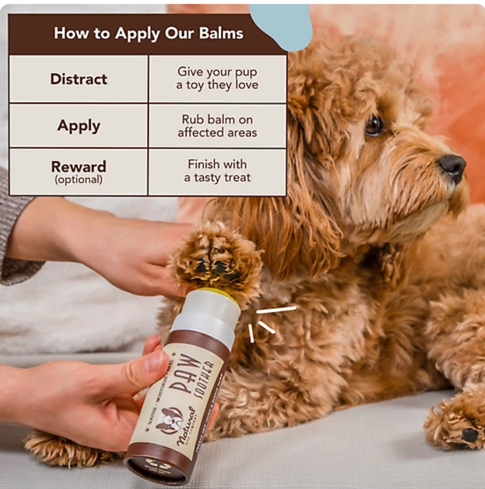 Natural Dog Company Paw Soother Stick for Dogs, 2 oz.