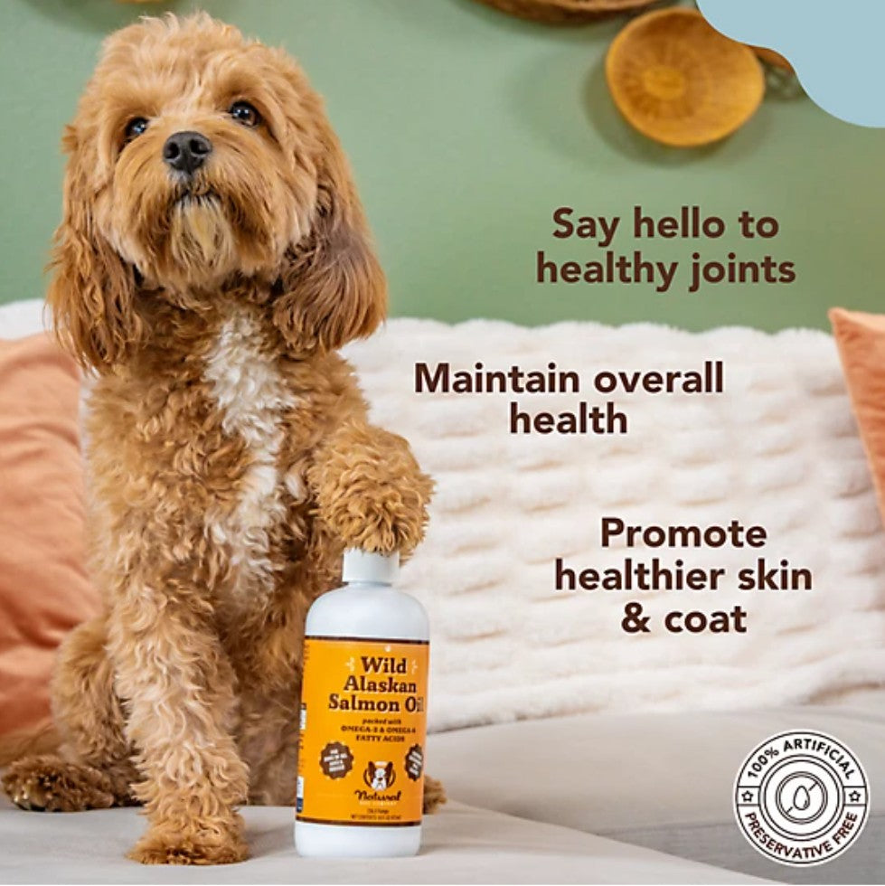 Natural Dog Company Wild Alaskan Salmon Oil Liquid Supplement for Dogs, 16 fl. oz.