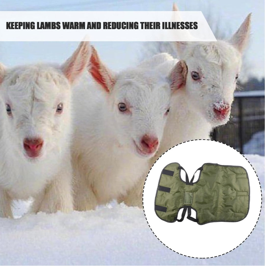 Goat Blankets For Winter, Goat Coat for Winter, Lambs thickened waterproof coldproof lamb vests, Goat Jacket Blanket