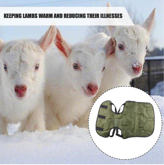 Goat Blankets For Winter, Goat Coat for Winter, Lambs thickened waterproof coldproof lamb vests, Goat Jacket Blanket