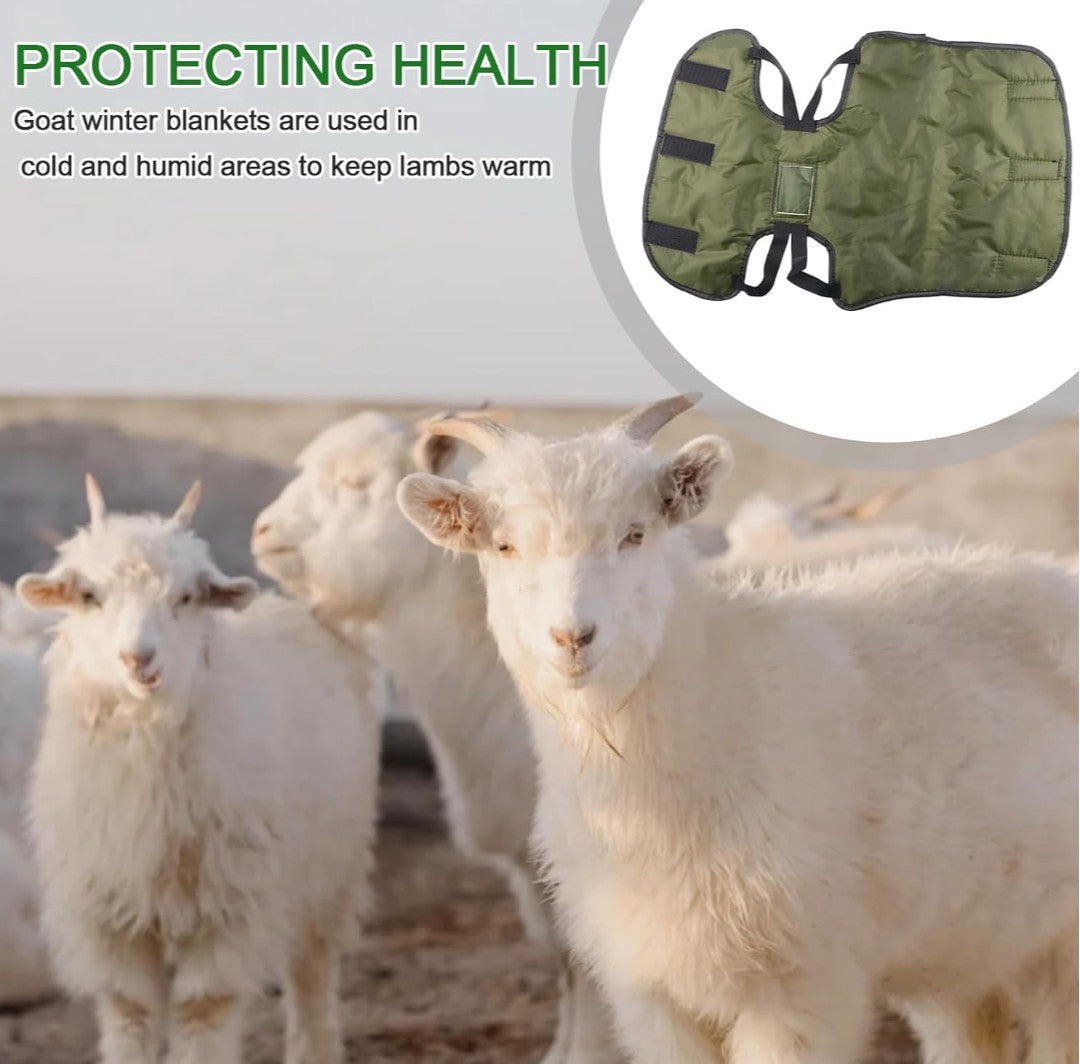 Goat Blankets For Winter, Goat Coat for Winter, Lambs thickened waterproof coldproof lamb vests, Goat Jacket Blanket