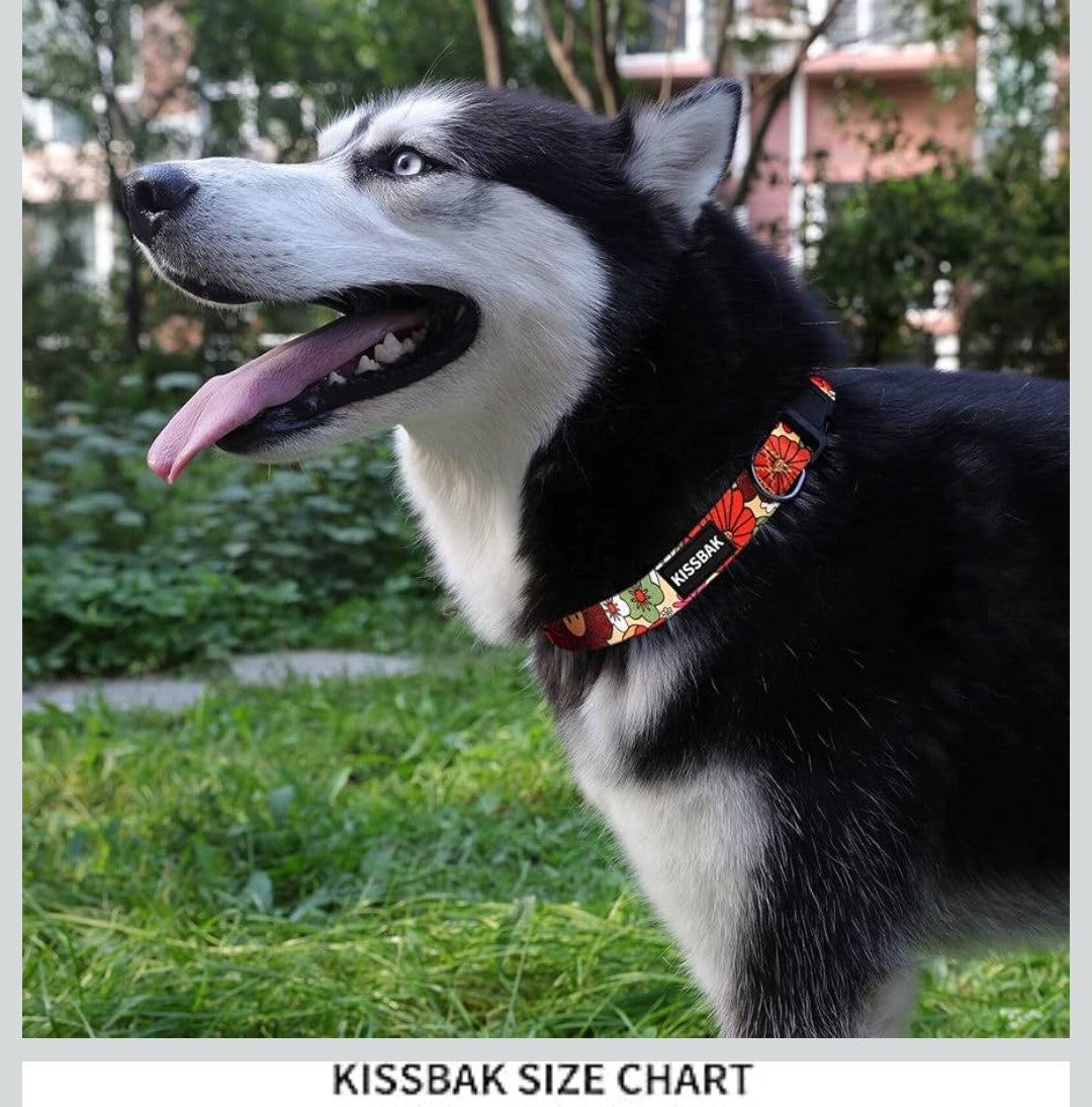 KISSBAK Dog Collar for Small Dogs - Special Design Cute Girl Dog Pet Collar Soft Adjustable Fancy Floral Girl Puppy Dog Collars (S, Lotus Flower)