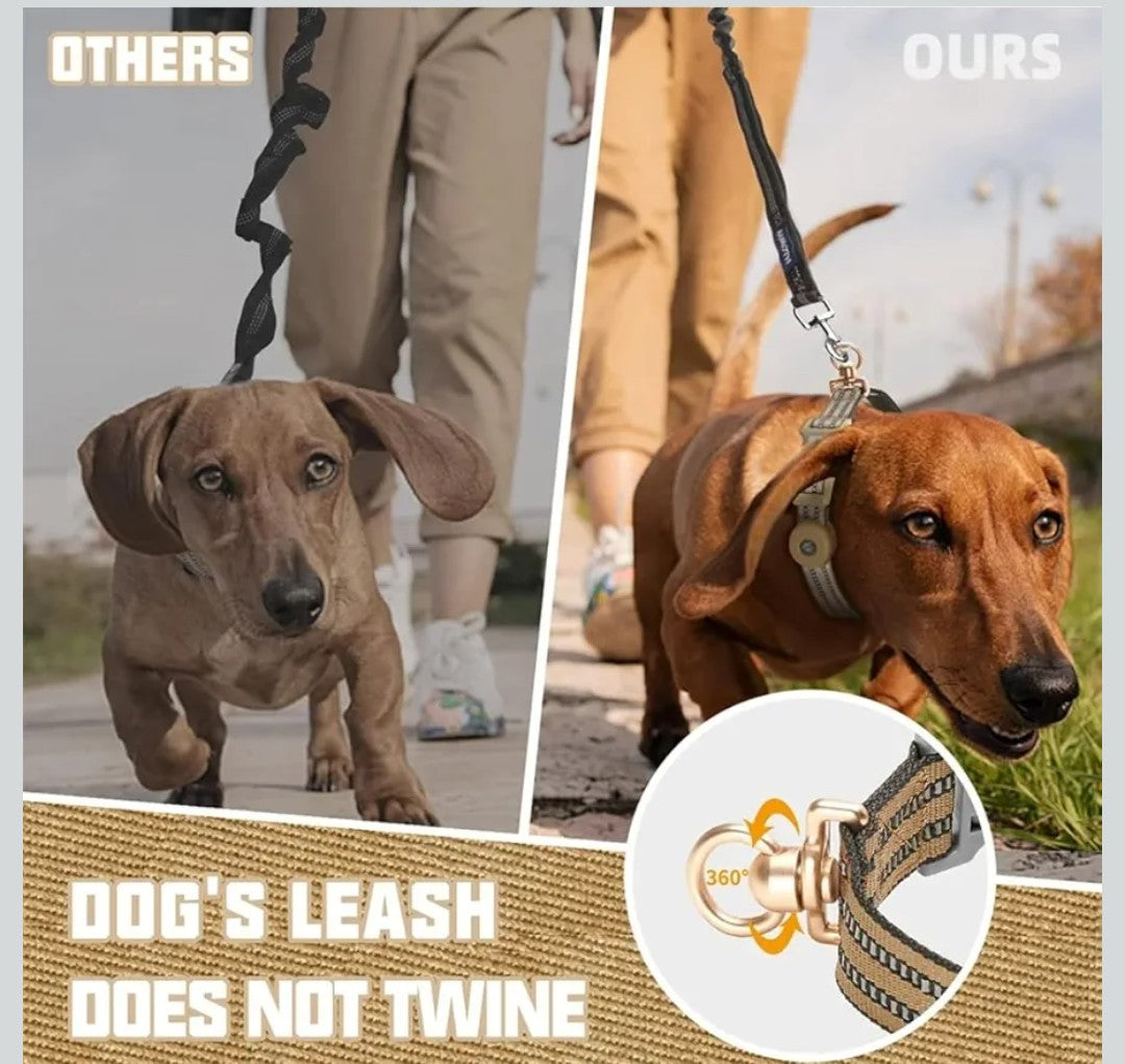 Reflective Dog Collar MEDIUM