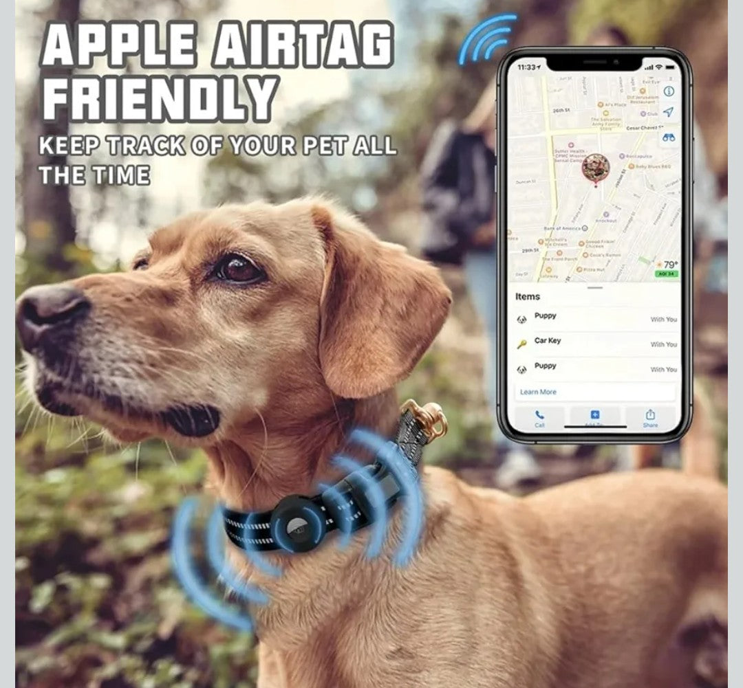 Reflective Dog Collar MEDIUM