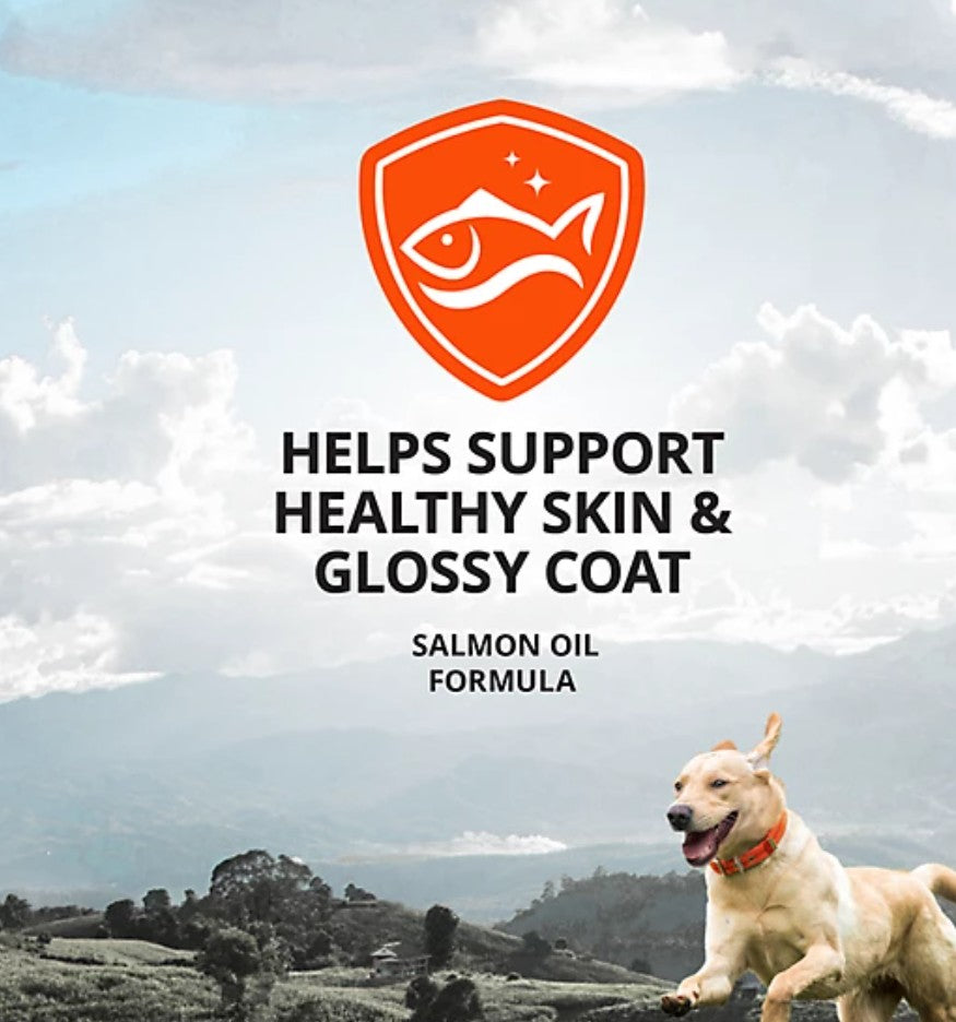 4health Salmon Oil and Pollock Oil Skin and Coat Supplement for Dogs, 16 oz.