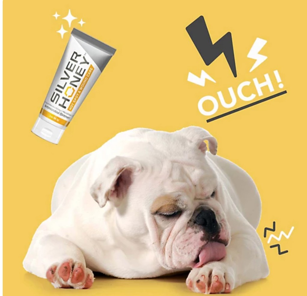 Silver Honey Hot Spot and Wound Care Antimicrobial Ointment for Pets (Dog, Cat, Horse), 2 oz.