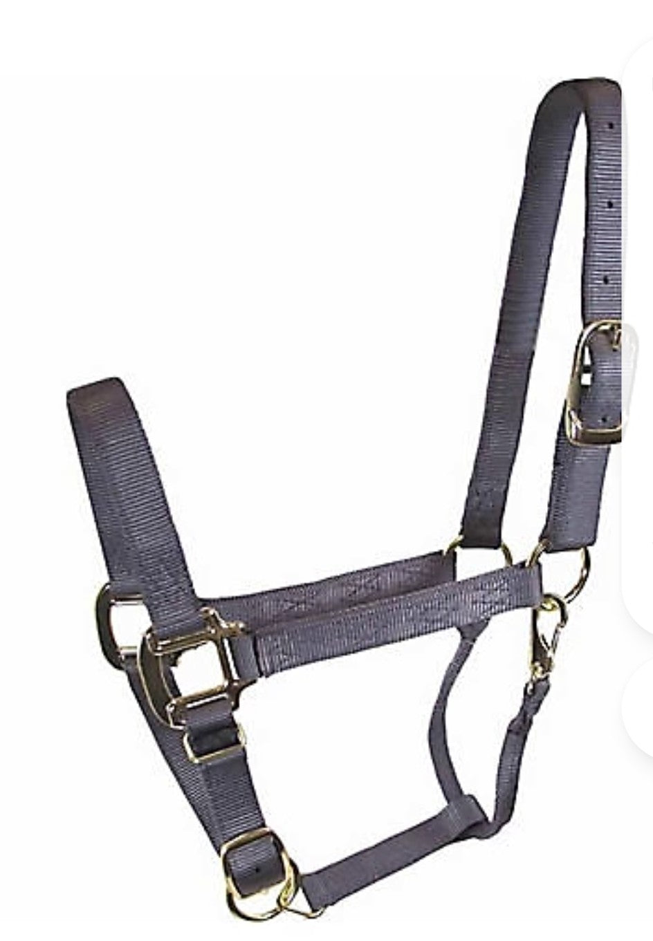 DuMOR Nylon Premium Horse Halter HORSE Coal