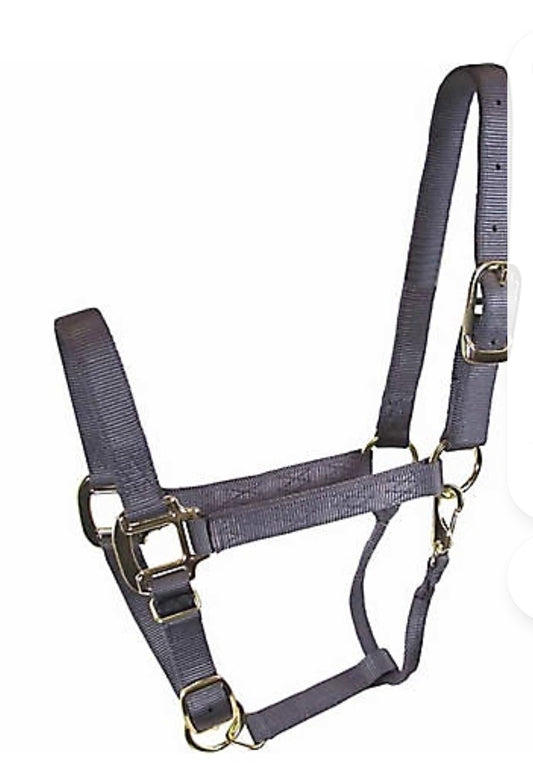 DuMOR Nylon Premium Horse Halter WEANLING/SMALL PONY Coal