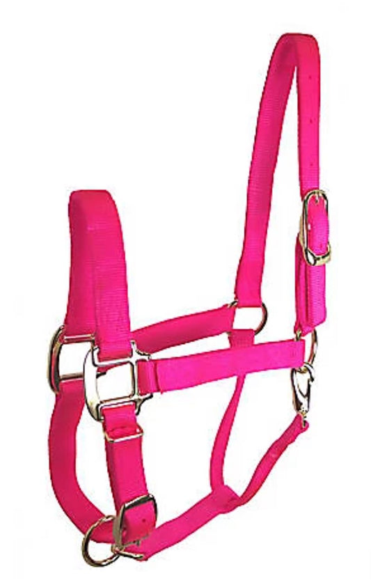 DuMOR Nylon Premium Horse Halter WEANLING/SMALL PONY Hot Pink