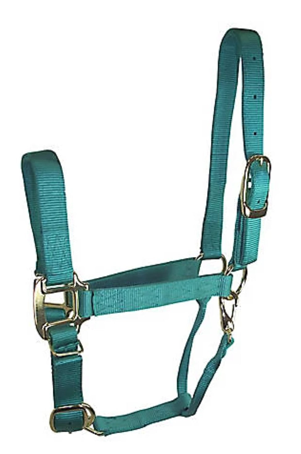 DuMOR Nylon Premium Horse Halter HORSE Turquoise